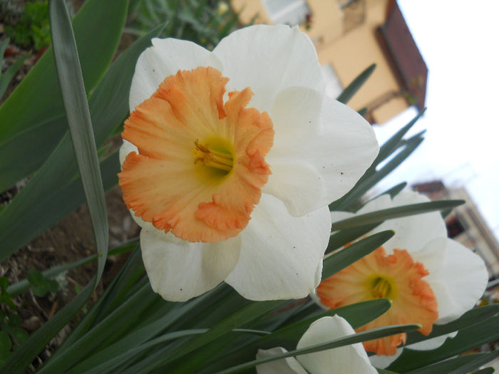 DSCN0890_040