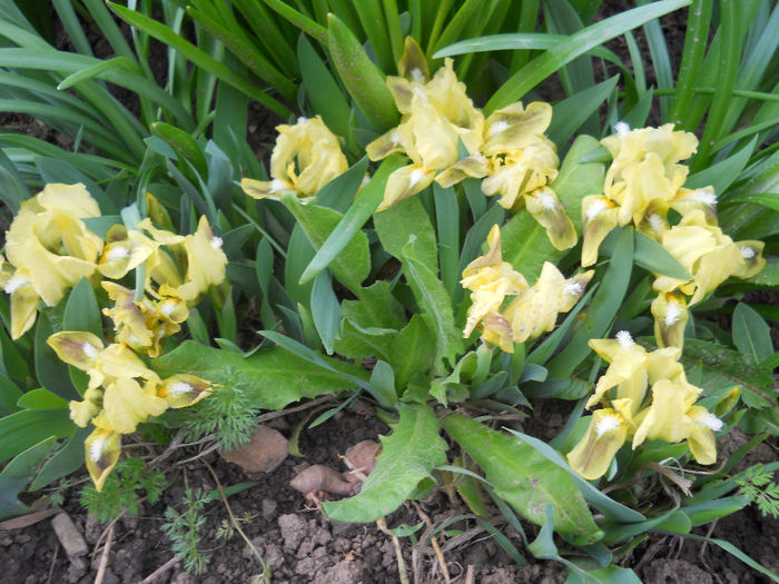 DSCN0903_053