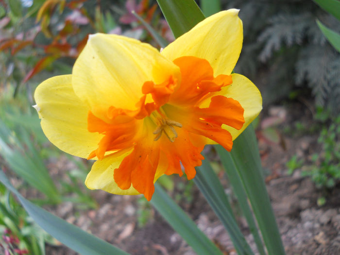 DSCN0909_059