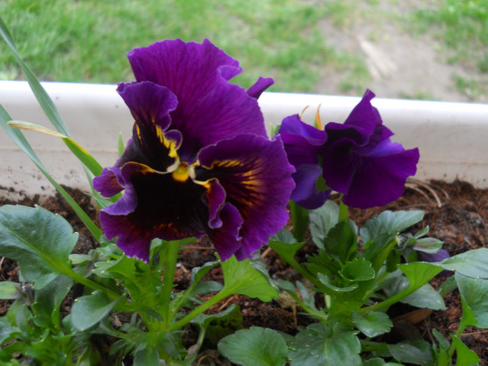 DSCN0918_068