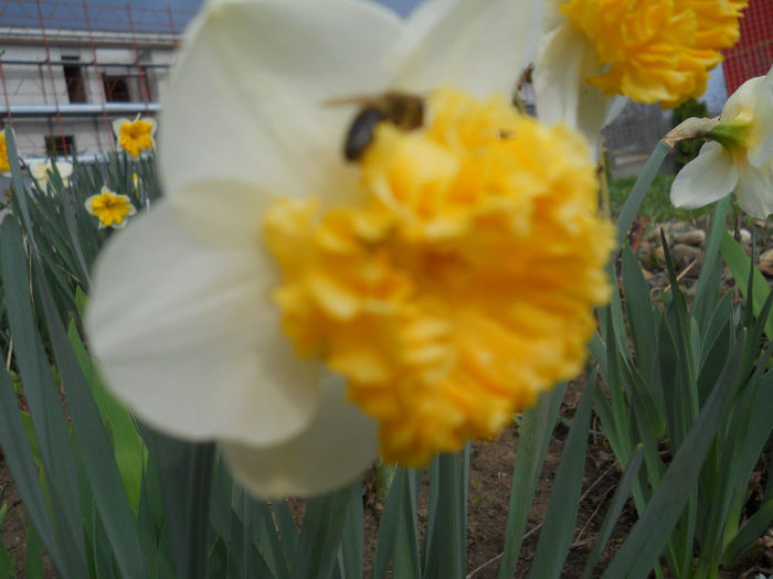 DSCN0919_069