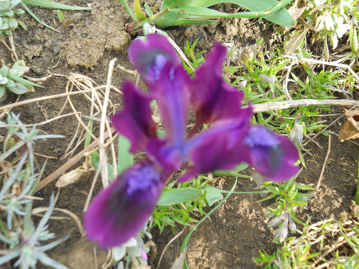 DSCN0929_079