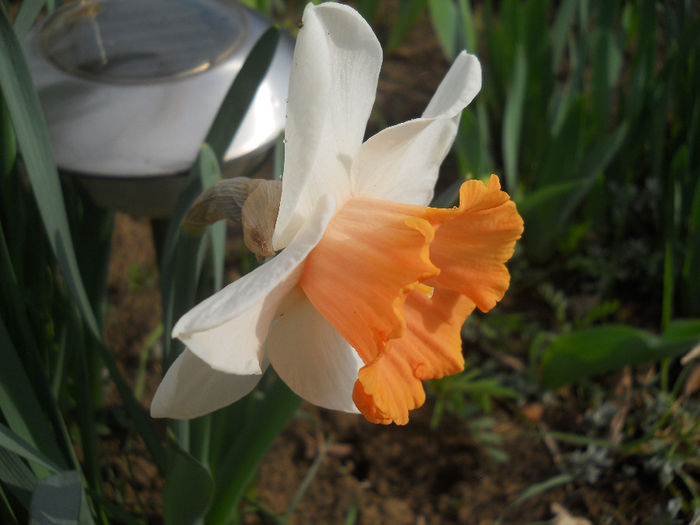 DSCN0930_080