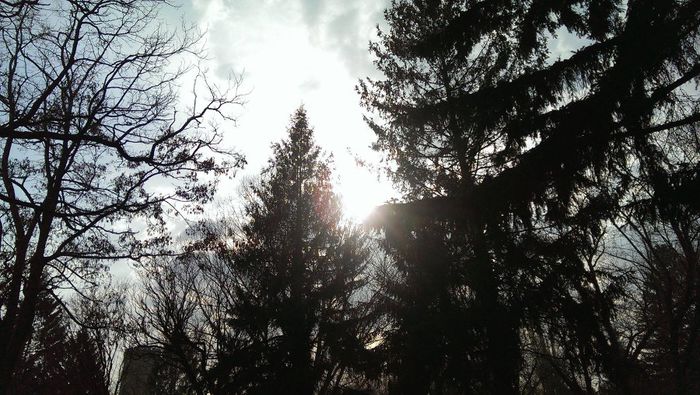 10000444_800256526714316_815367025_o