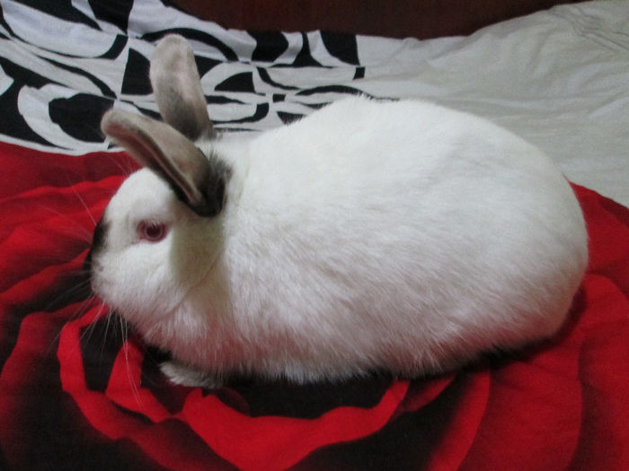 4 Luni si 3 Saptamani