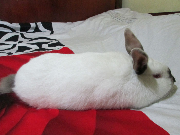 4 Luni si 3 Saptamani