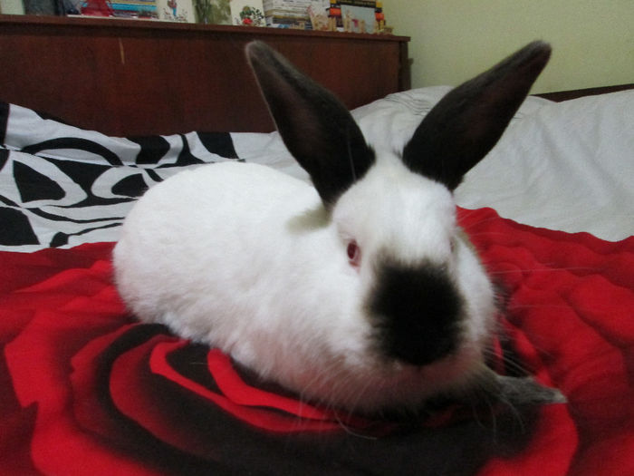 5 Luni si 1 Saptamana