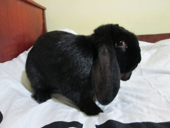 5 Luni si 1 Saptamana