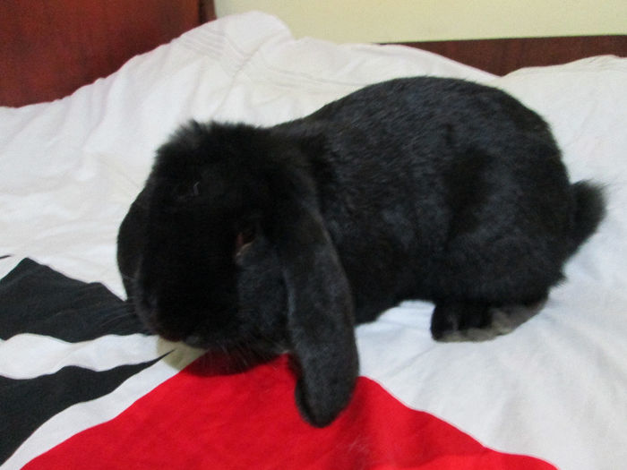 5 Luni si 1 Saptamana