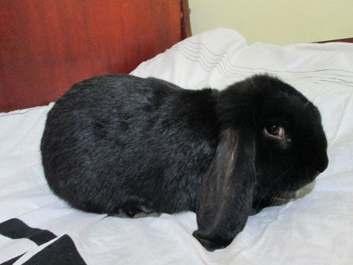 5 Luni si 1 Saptamana