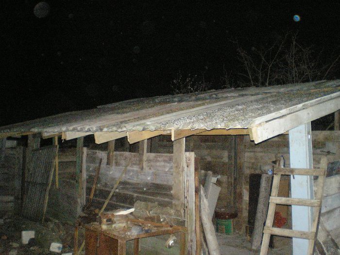 P1010052
