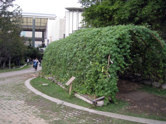 31_side-view-of-whole-bamboo-trellis1 - HOMEMADE BAMBOO DECORATIONS