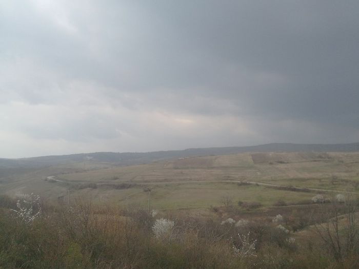 2014-03-28 14.36.13