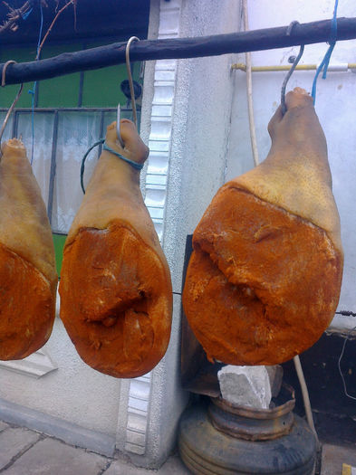 fotografie0389 - vind sunca si slanina de mangalita si vietnamezi