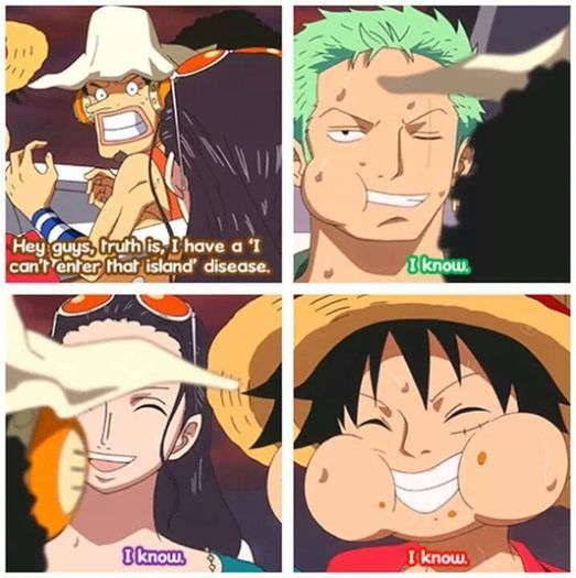 I know... - One Piece 2