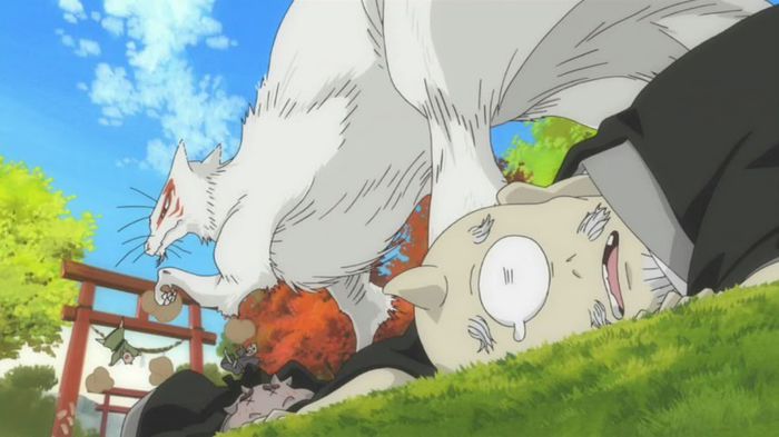 madara 20