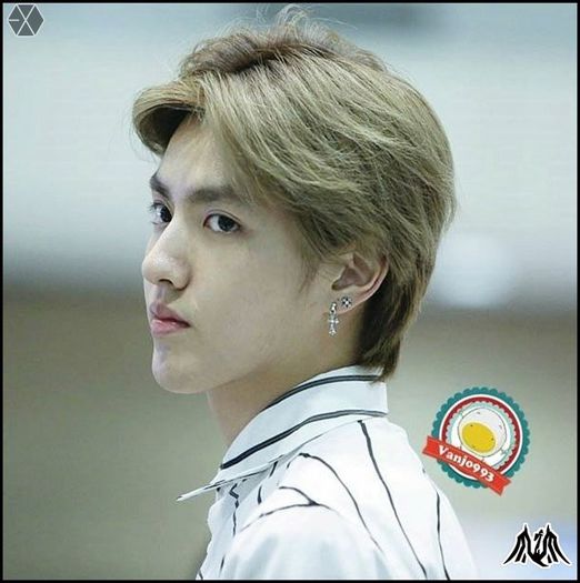 140203 Kris @ Guangzhou Baiyun & Incheon Intl Airport.10 - exo - 140203 Kris - Guangzhou Baiyun - Incheon Intl Airport