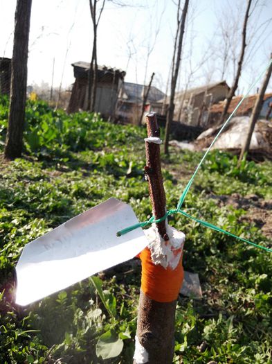 Acelasi cais MFG altoit in corcodus; cu eticheta cu tot

https://www.youtube.com/watch?v=Sym77XkZt9g
