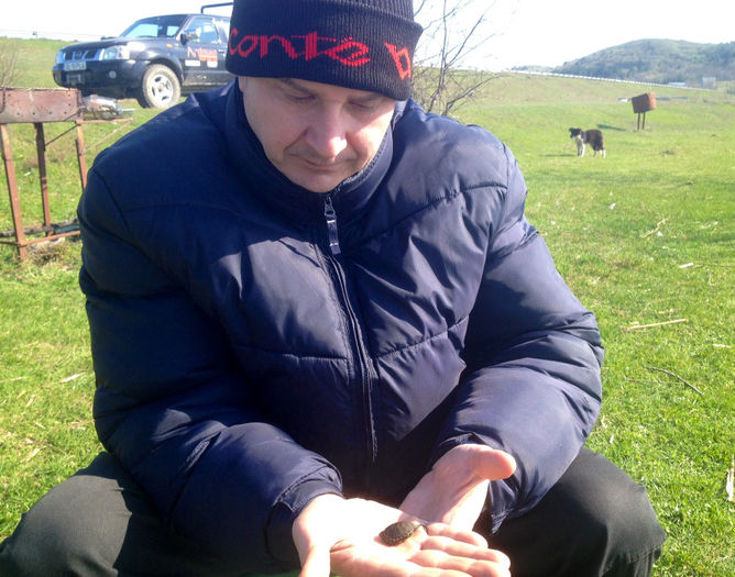 un nou membru in echipa