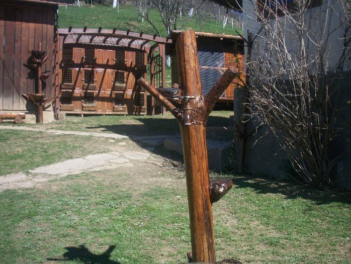 100_6520; cismea rustica
