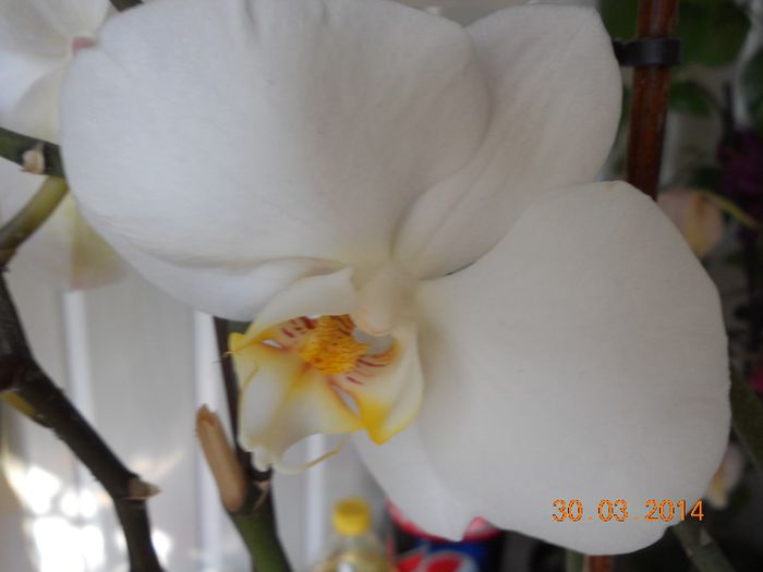 DSCN4579
