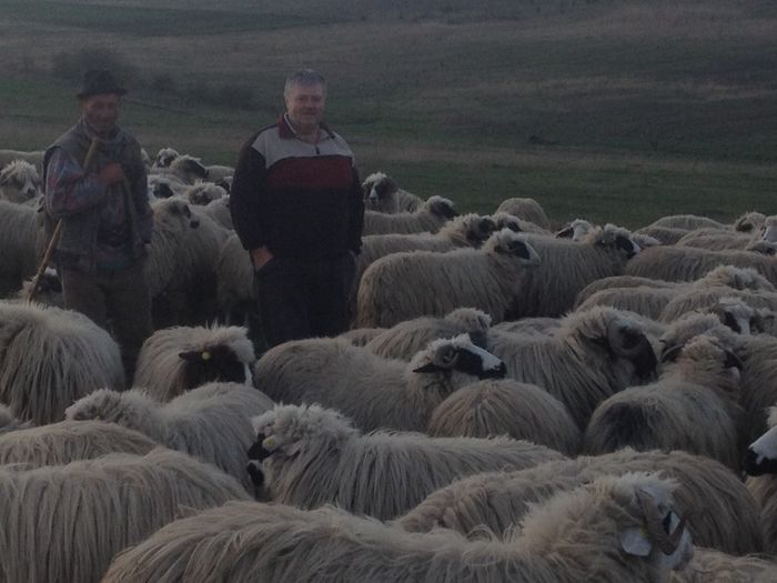 IMG_1559; Stapanu cu Ciobanu
