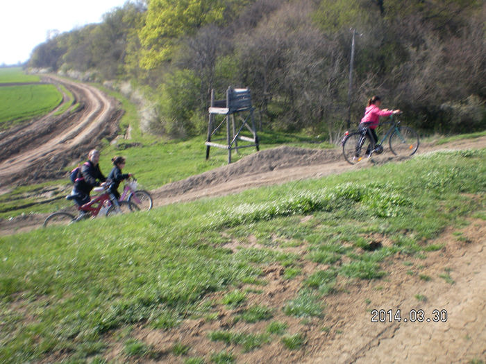 SANY0496 - Natura sanatate curata