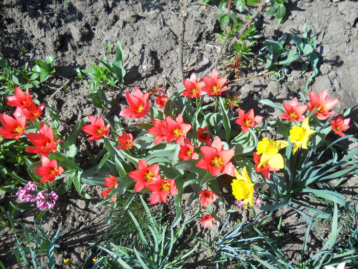 DSCN0939_001