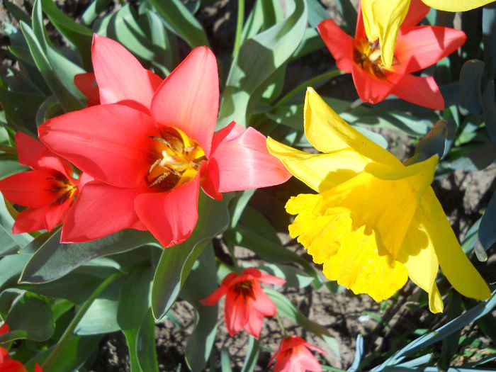 DSCN0940_002