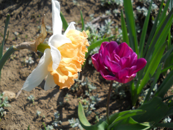 DSCN0952_014