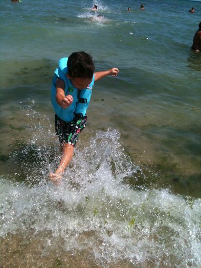 IMG_0730 - Copy