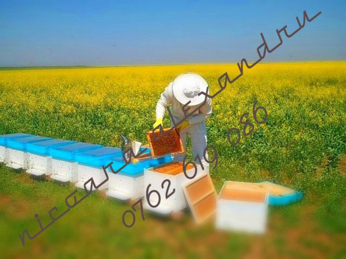 5294150_prv_02_sHIabFeaTJEYLXIi1t9Qtbwfj7mwSRVw