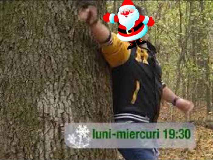 1526485_381429121993235_1933487549_n