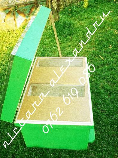 5290746_prv_02_qTphnksZ_ranaE5_CEyZdsiCmsG6DGz_