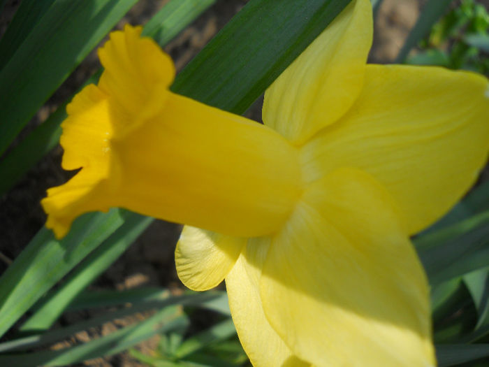 DSCN0991
