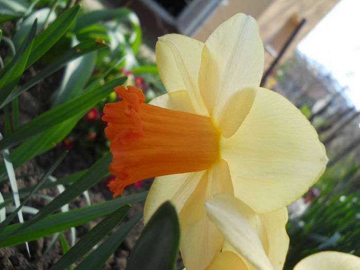 DSCN0993