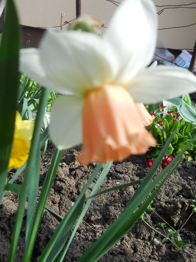 DSCN0996_021