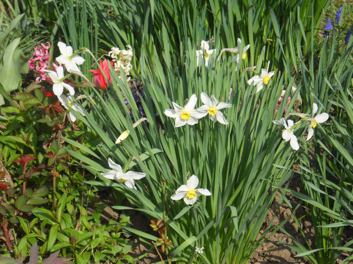 DSCN0997_022