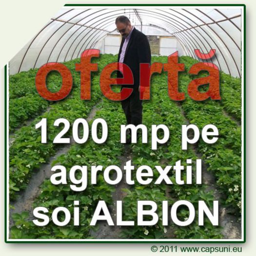 5_oferta_1200_albion - COMANDA STOLONI 2014