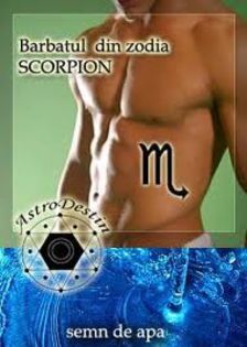 images (5) - x Zodia scorpion