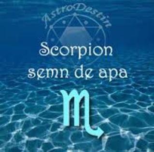 images (8) - x Zodia scorpion