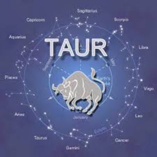 download (2) - x Zodia taur