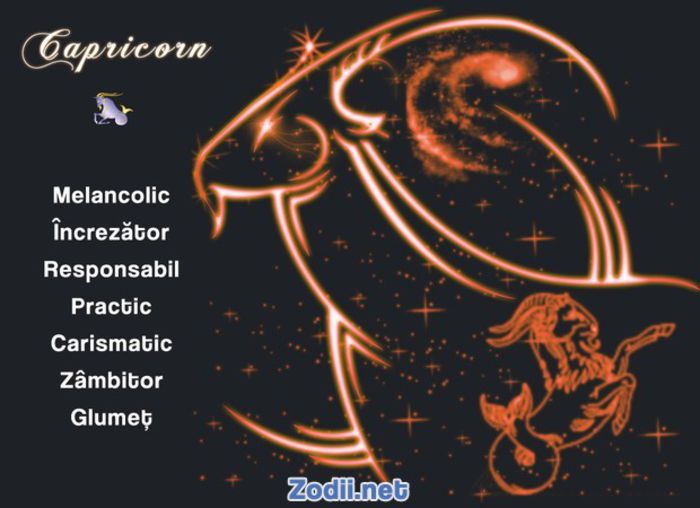 10-capricorn - Calitatile zodiilor