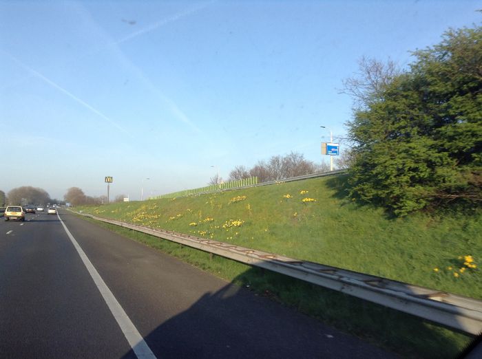 image - Olanda vazuta din masina