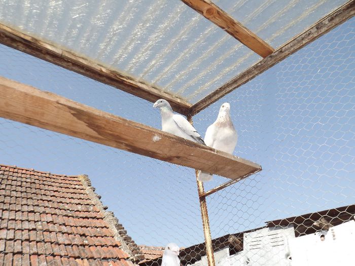 DSCF3196 - Inceput  de sezon   2014