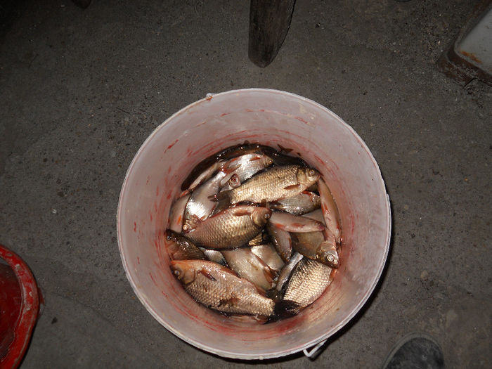 pescuit Geaca 02.04.2014 012; pregatiti ptr curatare
