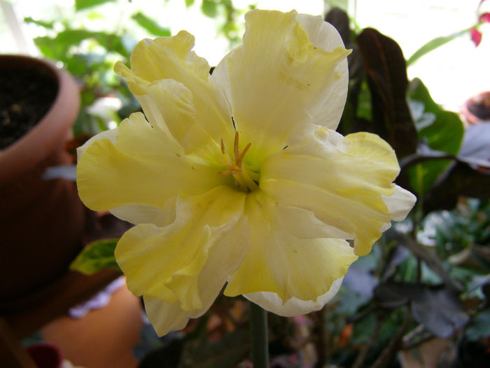 P1018880