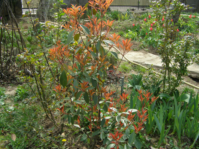 P1018882