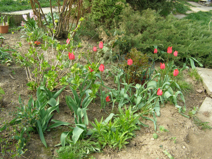 P1018885