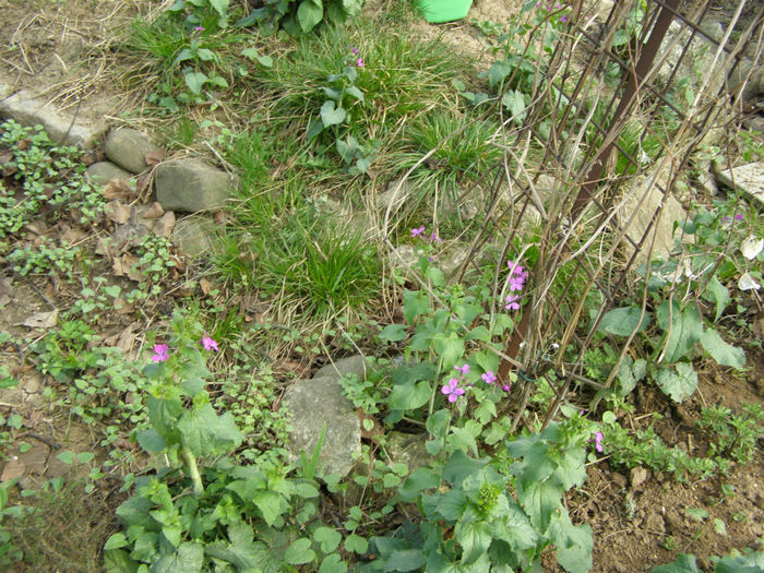 P1018886